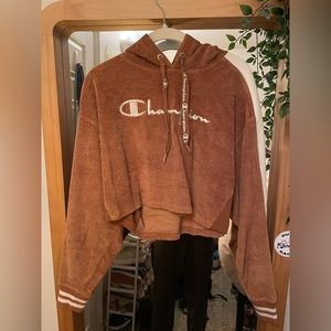 Cropped, brown corduroy, Champion hoodie, size medium